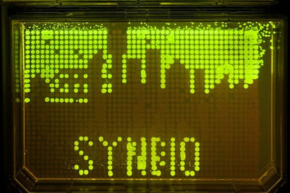 Sydney’s skyline depicted in fluorescent bacteria designed by Goold in the lab, using methods adapted from yeast art techniques developed in Boeke’s lab.