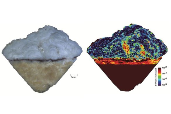 Sample cross-sections show the pigment layer (the stripe running through the middle of the sample), the limestone wall beneath and the calcium carbonate formations on the pigment.