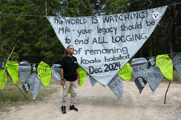 Great Koala National Park 