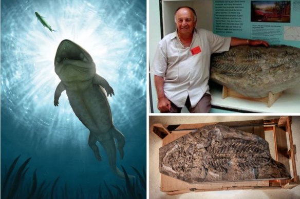 An artist’s recreation of the “supine sand creeper”, Mihail Mihailidis pictured in 1997 with the fossil he discovered, and the fossil today.