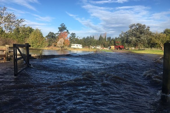 Flooding on a farm in Launching Place forces the early sale of livestock. 