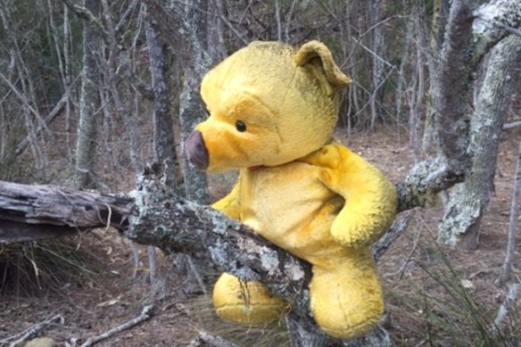 Pooh Bear on holidays on the Clyde River.