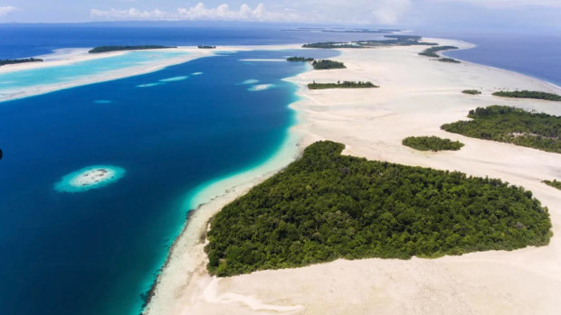 ‘Mix of Avatar and Jurassic Park’: Unrest at auction of 100 untouched islands