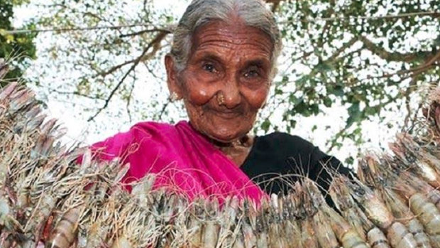 Mastanamma, 107, Andhra chef, popular on YouTube, passes away. From watermelon chicken curry to village-style KFC, her recipes had crossed borders. 