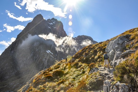 The Morrison government is considering opening travel to New Zealand if the two countries both keep COVID-19 under control.