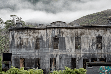 Perth chef snaps up 125-year-old Tassie hotel ruin sight unseen.