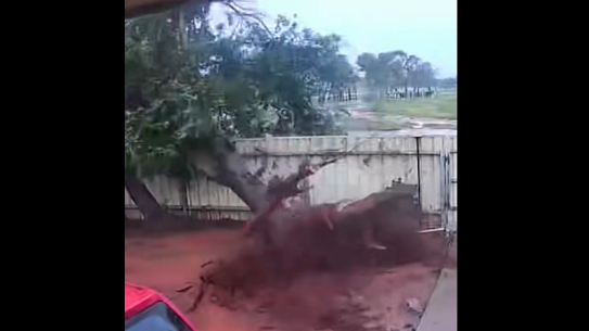 Cyclone Zelia crossed the coast as a cataegory 4 system on Friday.