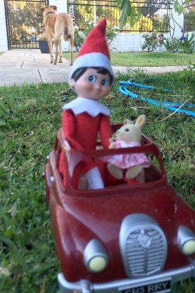 Elf is taking the convertible for a spin.