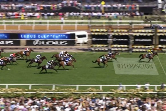 Without A Fight has won the Melbourne Cup.