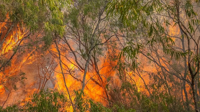 Bushfire in Perth’s east spurs warning to residents to leave immediately