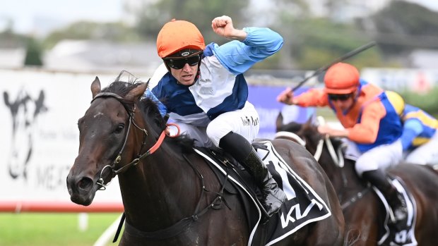 ‘A lack of pace might ruin it’: Where is the speed in the Queen Elizabeth Stakes?