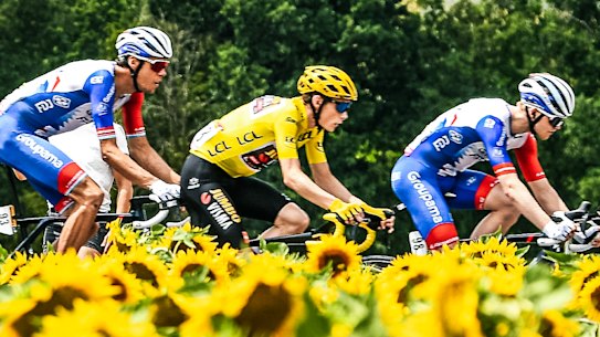 Rides pass a sunflower field on Stage 19 of the Tour de France last year.