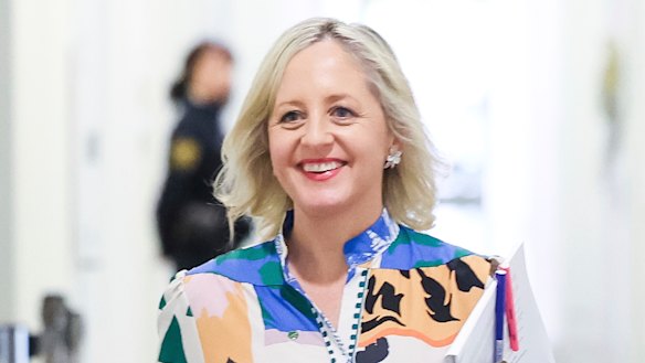 Shadow Minister for Communications and Shadow Minister for Women, Melissa McIntosh.