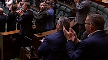 Former Victorian Premier Daniel Andrews is seen in a screen grab from the State Parliament of Victoria feed. 17th June, 2026.