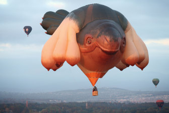 Skywhale over Lake Burley Griffin.