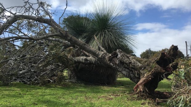 More damaging winds are on their way for Perth and the south west.