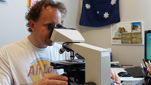 Jeremy Howard at work. His technology makes it easier to detect lung cancer.