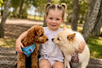 Bear, a three-year-old cavoodle killed in a brutal dog attack in NSW, with companion Bambi and their owner’s granddaughter.