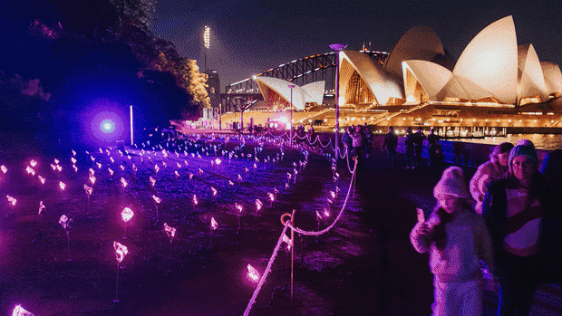 Opera House projections vs $128 harbourside walks: Reviewing Vivid’s light shows