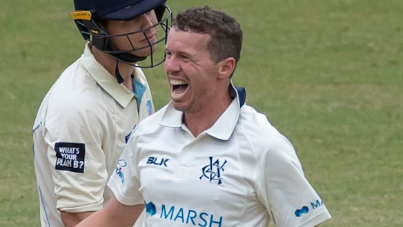 Peter Siddle celebrates a wicket for Victoria