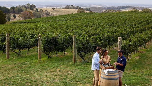 Printhie Wines vineyard in Molong, near Orange. 