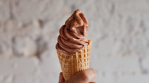 Thatcher is believed to have a role in the development of ice-cream in the UK, soft serve in particular.