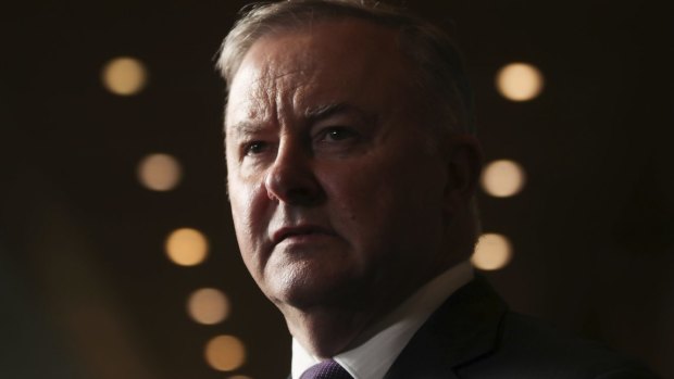 Opposition Leader Anthony Albanese.