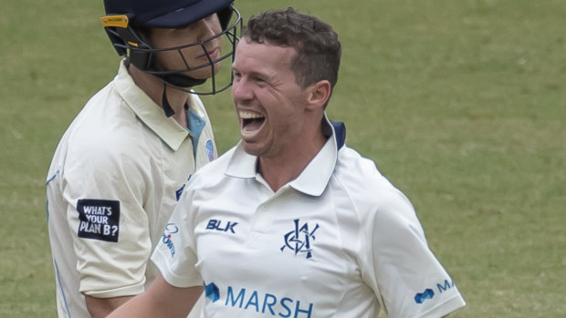 Peter Siddle celebrates a wicket for Victoria