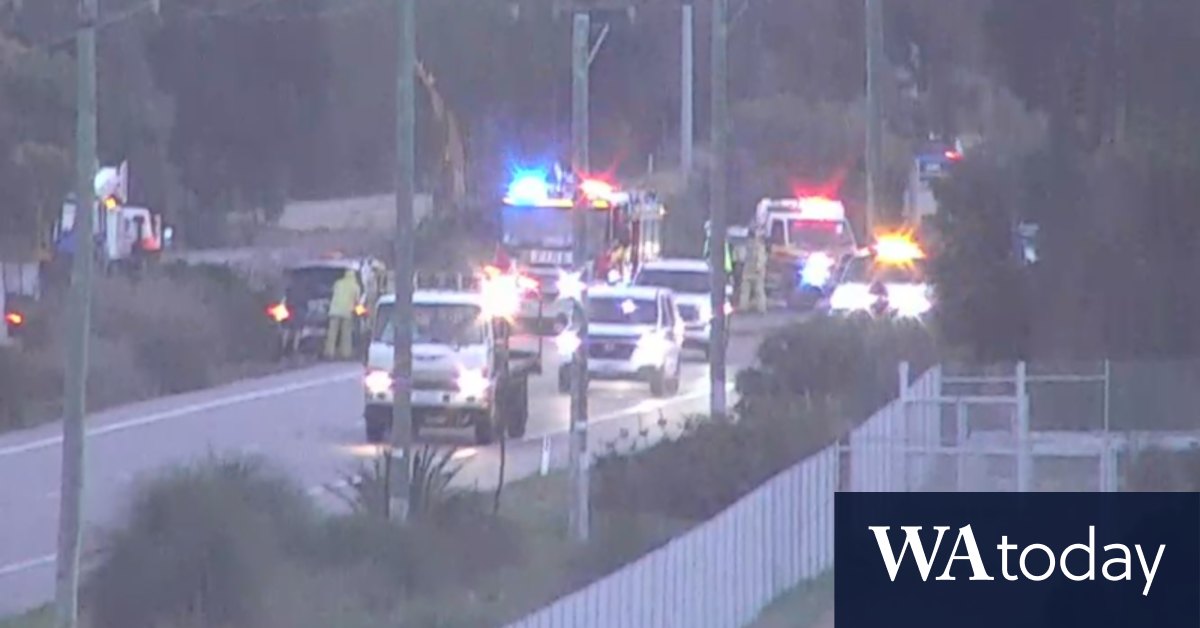 Tree falls on two cars during Perth's peak hour - Vimarsana News