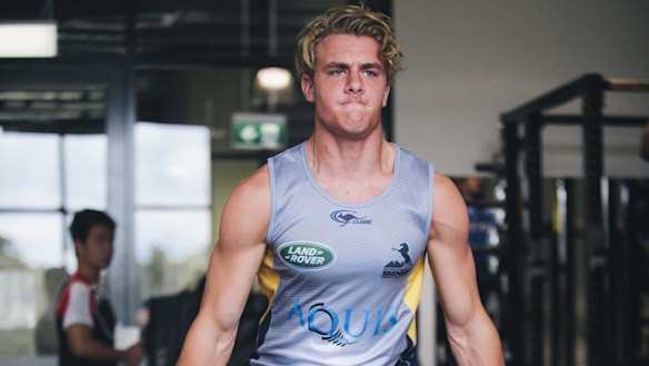 Matt Giteau has backed Jordan Jackson-Hope to play above his weight. 