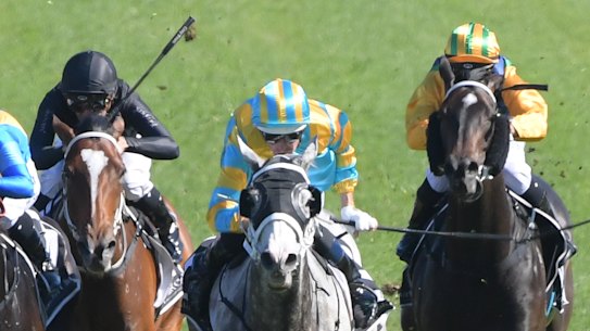 My Nordic Hero puts Waller in Festival mood on home track