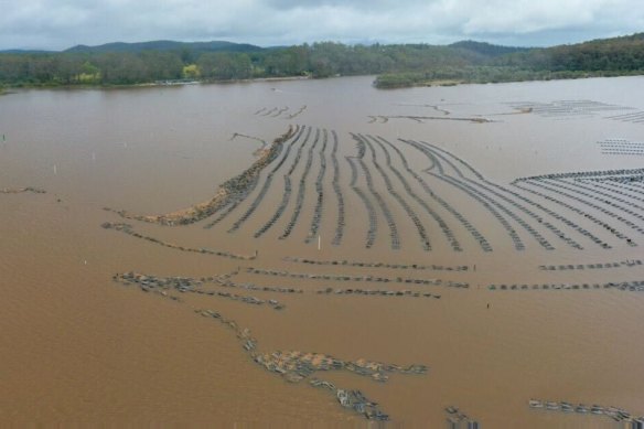 South Coast oyster farms, including Natural Oyster Co, were inundated by rainfall last week, affecting oyster supplies. 