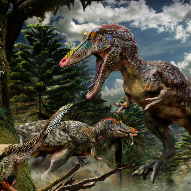 China's long-snouted tyrannosaur Qianzhousaurus, nicknamed Pinocchio Rex.