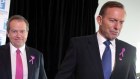 Bill Shorten is now rated better prime minister than Tony Abbott in all states following further falls in the Prime Minister's standing.