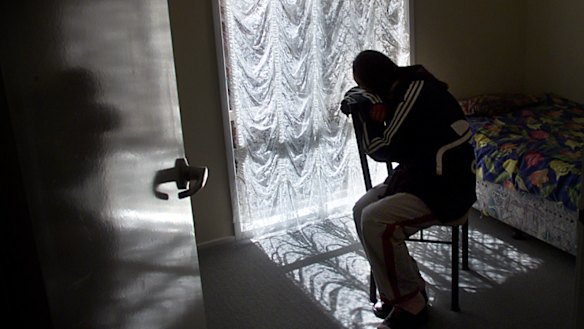 The inquiry was told by the leader of a men's rights group it was a "known fact" some women lie to secure domestic violence orders.