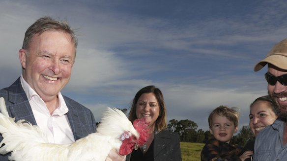 Opposition Leader Anthony Albanese had reason to crow after Labor held on to the seat of Eden-Monaro.