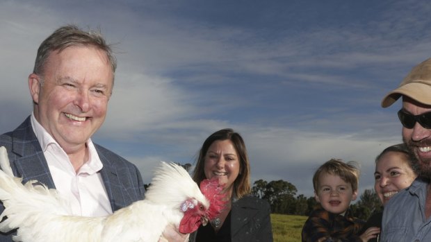 Opposition Leader Anthony Albanese had reason to crow after Labor held on to the seat of Eden-Monaro.