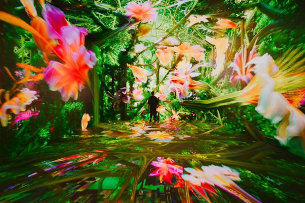 An immersive digital art exhibit