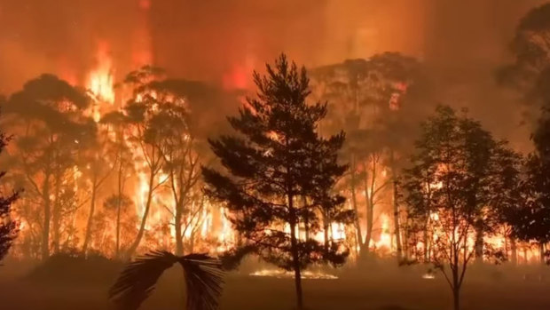 Footage taken from the NSW RFS  of a bushfire at Mt Tomah.