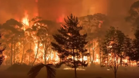 A screengrab of footage taken from the NSW RFS facebook page of a bushfire at Mt Tomah.