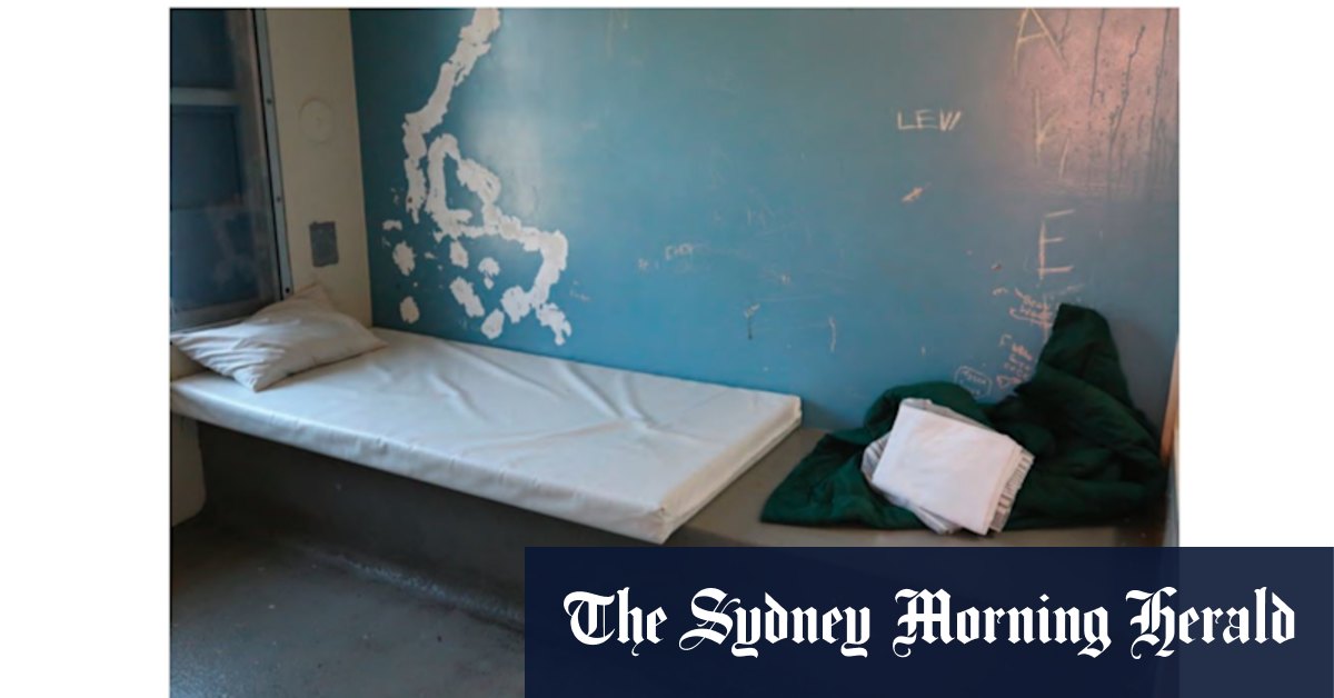 The juvenile prison where child was 'treated like an animal' gets funding boost - Vimarsana News