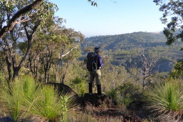 WA’s unique and diverse jarrah forests are under pressure from a drying climate.