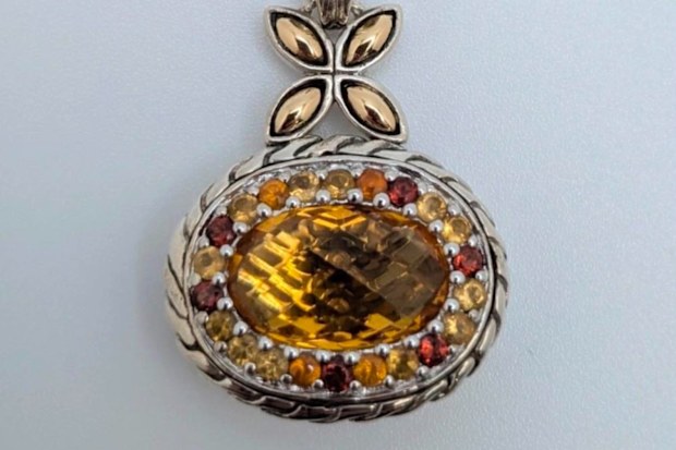 One possible lead is a missing necklace that Sally Contarino may have been wearing on her trip.