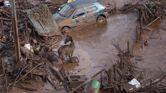 The muddy aftermath of the deadly dam collapse.