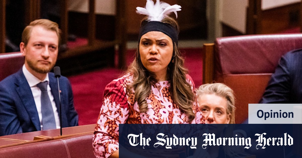 'We are not a separate entity, we are all just Australians': Senator defends her opposition to the Voice - Vimarsana News
