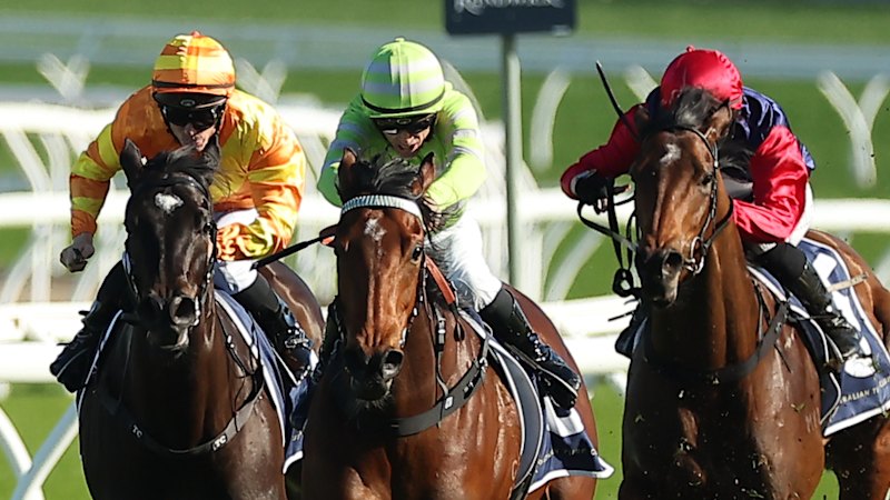 Race-by-race tips and previews for Rosehill on Saturday