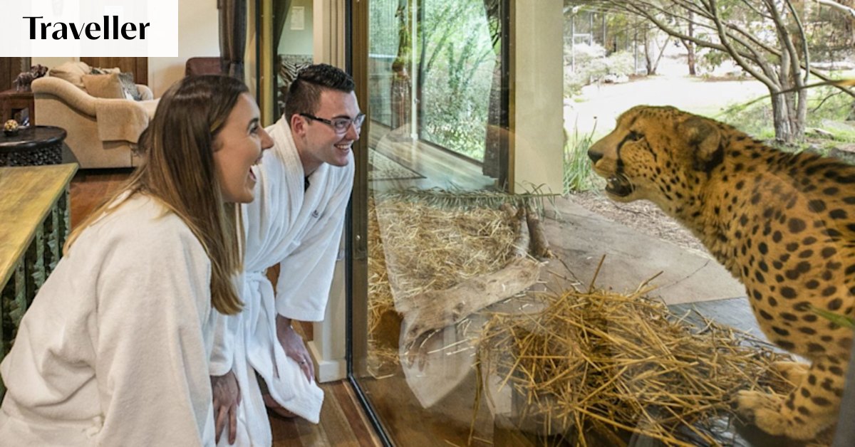 Waking up facing a wild animal is a thrill at this Aussie hotel