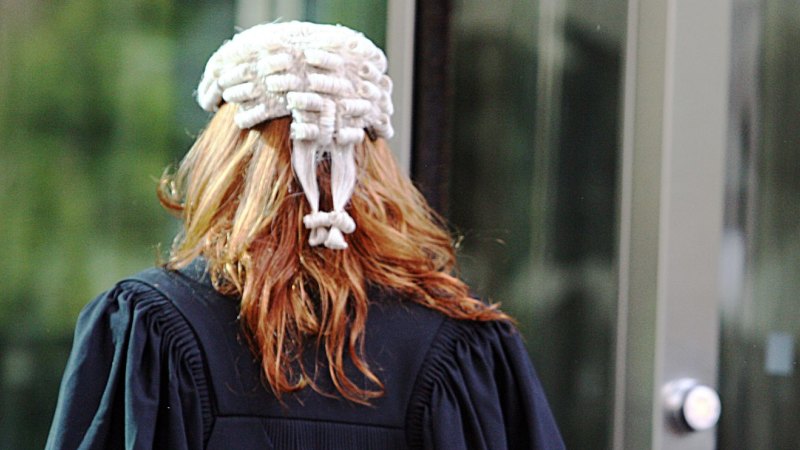 Court wigs best sale