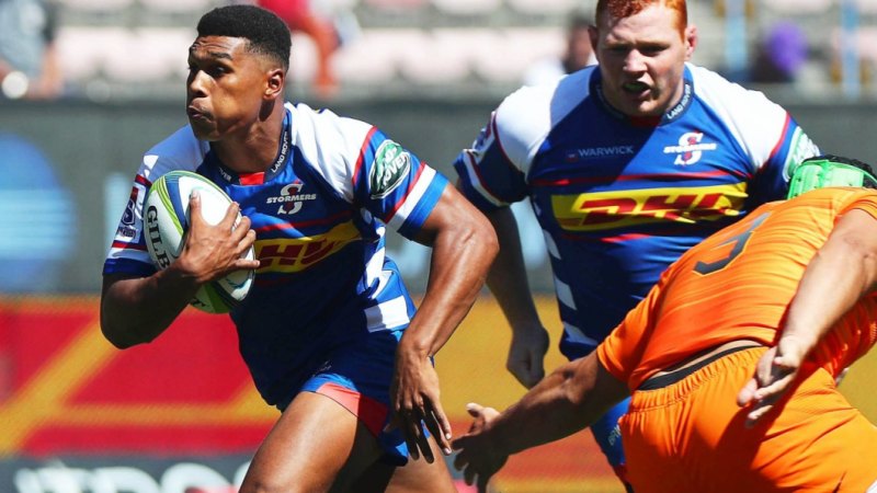 Springboks name three new faces in Rugby Championship squad