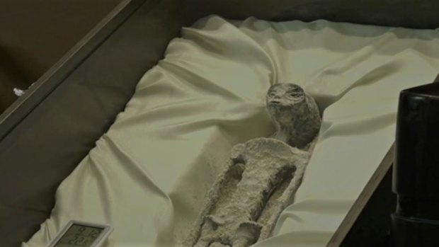 The “mummy” was presented in a coffin-like box, and came with accompanying scan results and other “data”.